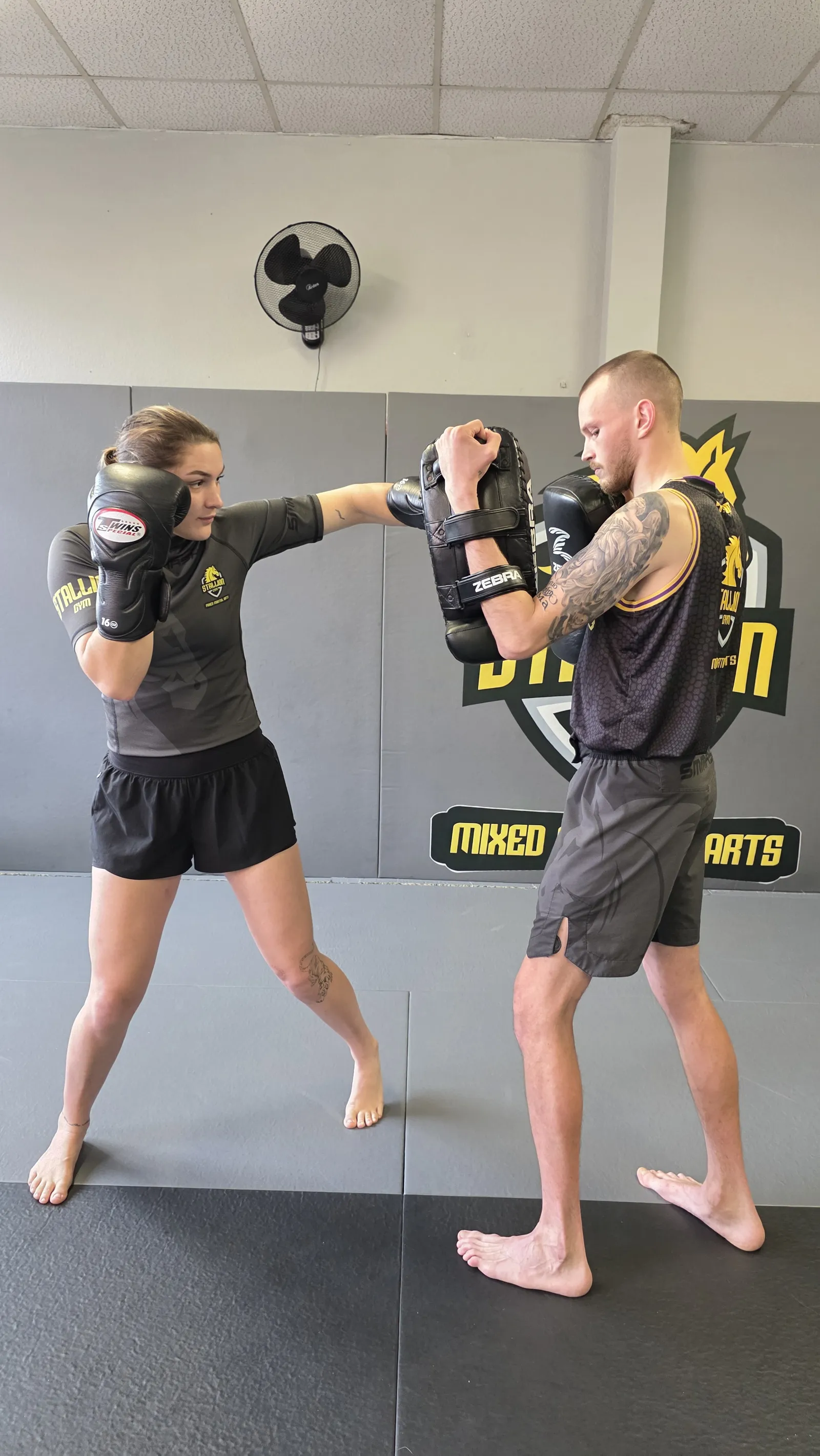 Boxtraining im Stallion Gym Stuttgart